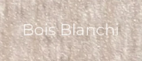 Échantillon Bois Blanchi