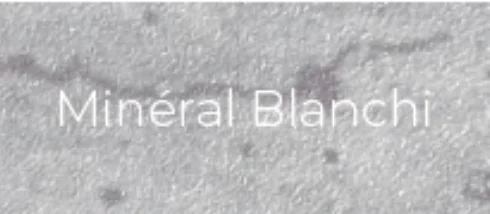 Échantillon Mineral Blanchi