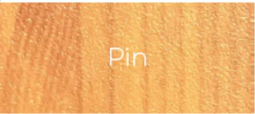 Échantillon Pin