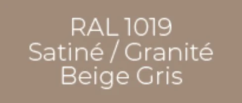 Échantillon RAL 1019 Beige Gris