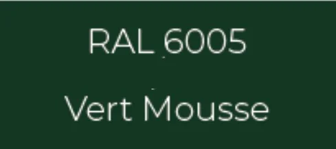 Échantillon RAL 6005 Vert Mousse