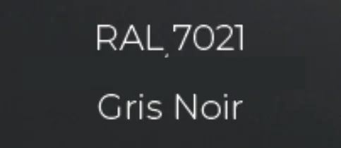 Échantillon RAL 7021 Gris Noir